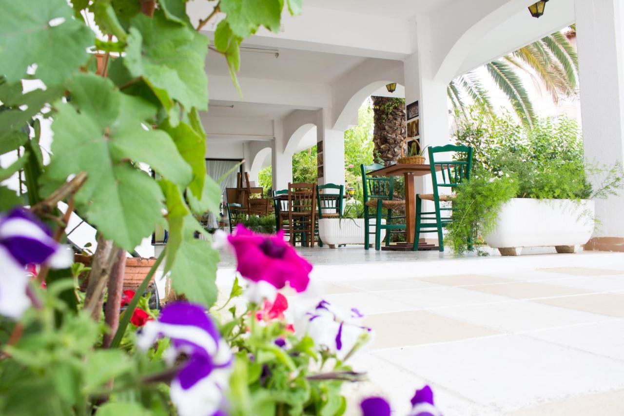 Dionisos Palms Apartments Paralia Dionysiou Esterno foto